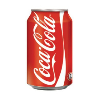 www.PARTNERPAPES.pl - Coca-Cola 330 ml (puszka), opak. 24 szt